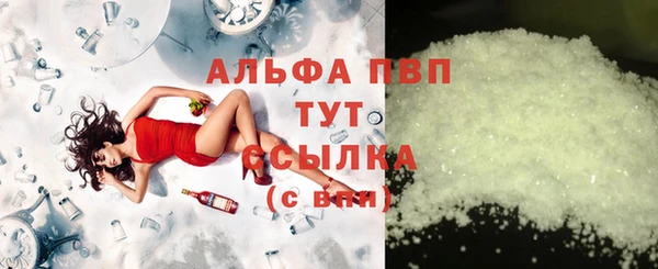 индика Беломорск