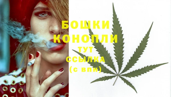 молекула духа Белокуриха