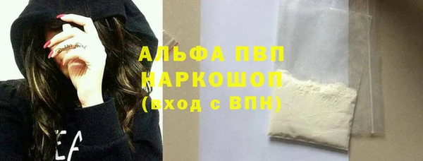 индика Беломорск