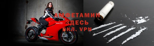 индика Беломорск