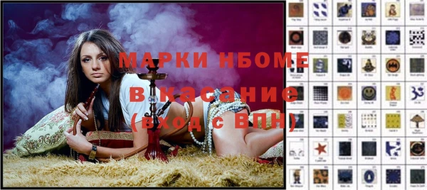 индика Беломорск