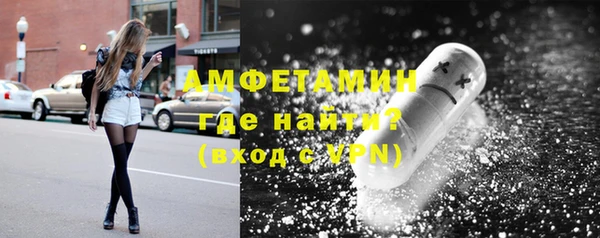 индика Беломорск
