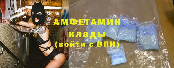 индика Беломорск