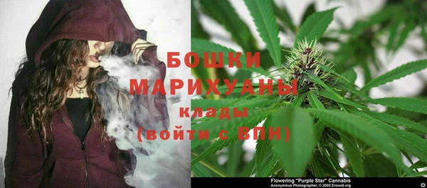 молекула духа Белокуриха