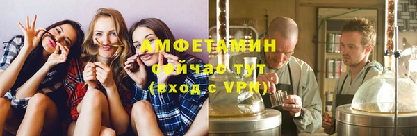 молекула духа Белокуриха